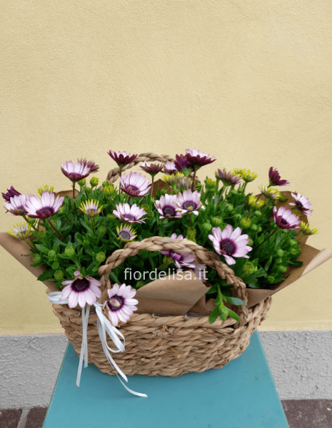 Cesto fiorito con piante