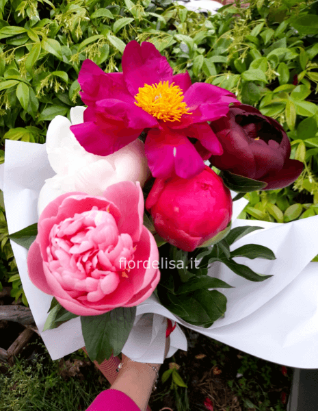 Mazzo di Peonie