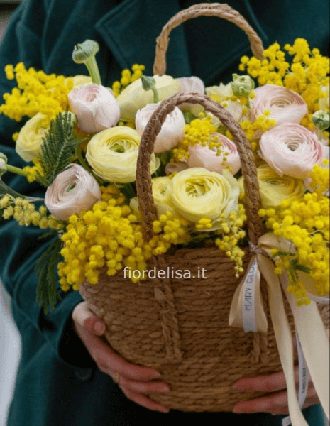 Cesto fiorito  mimosa