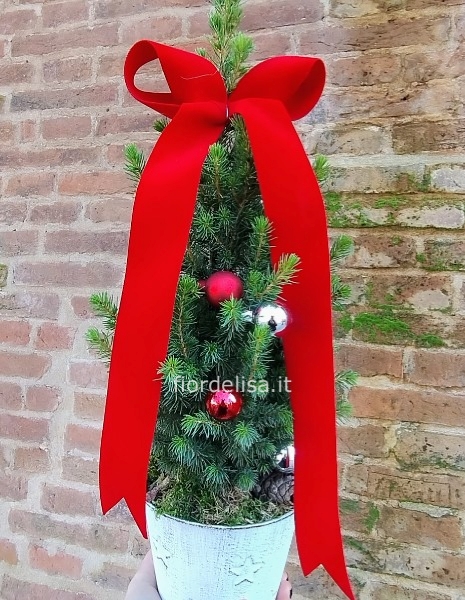 Alberino di Natale in vaso di latta